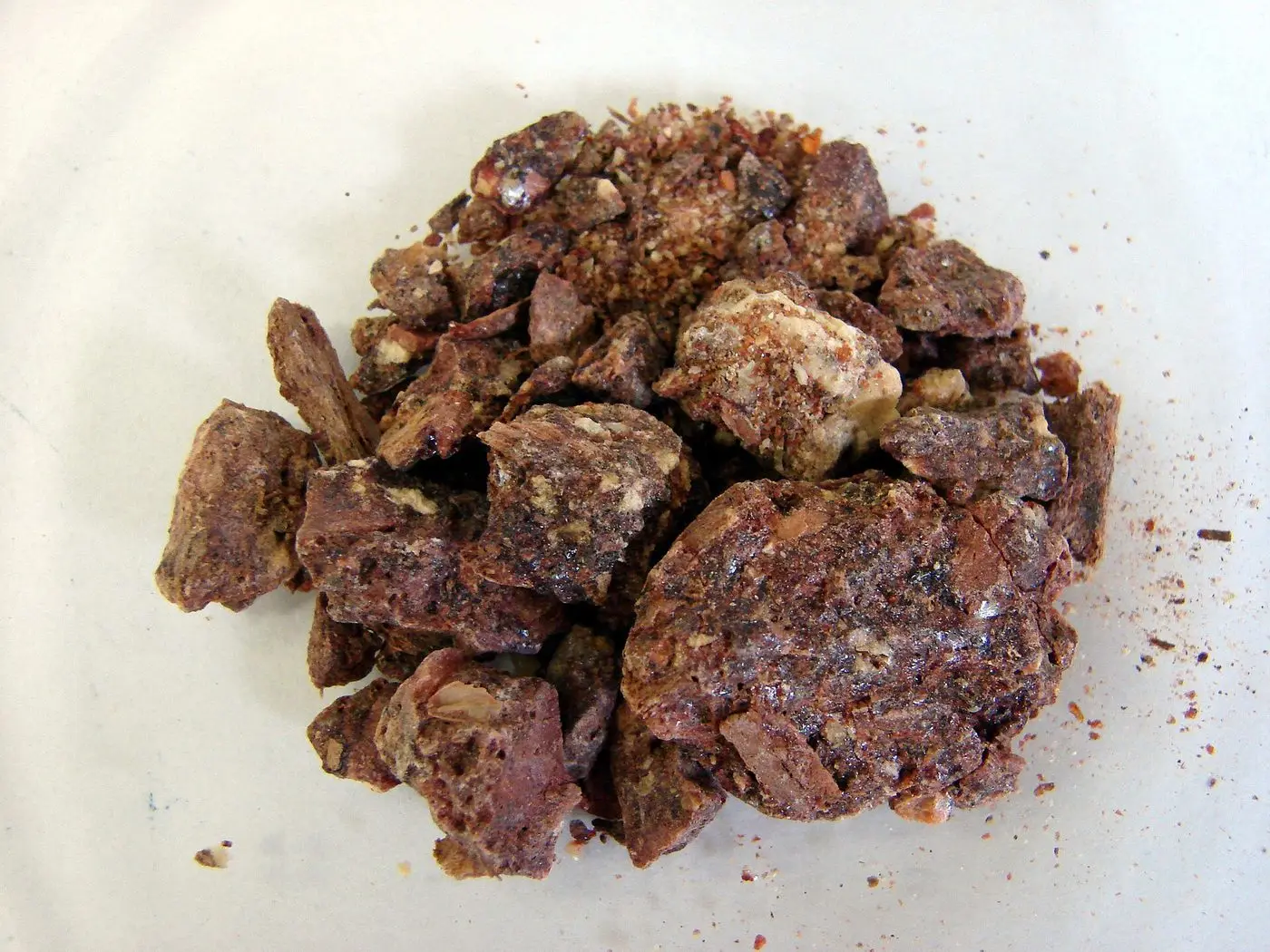 Benzoë sumatra1