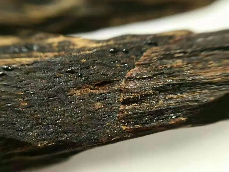 Highend Agarwood Kyara