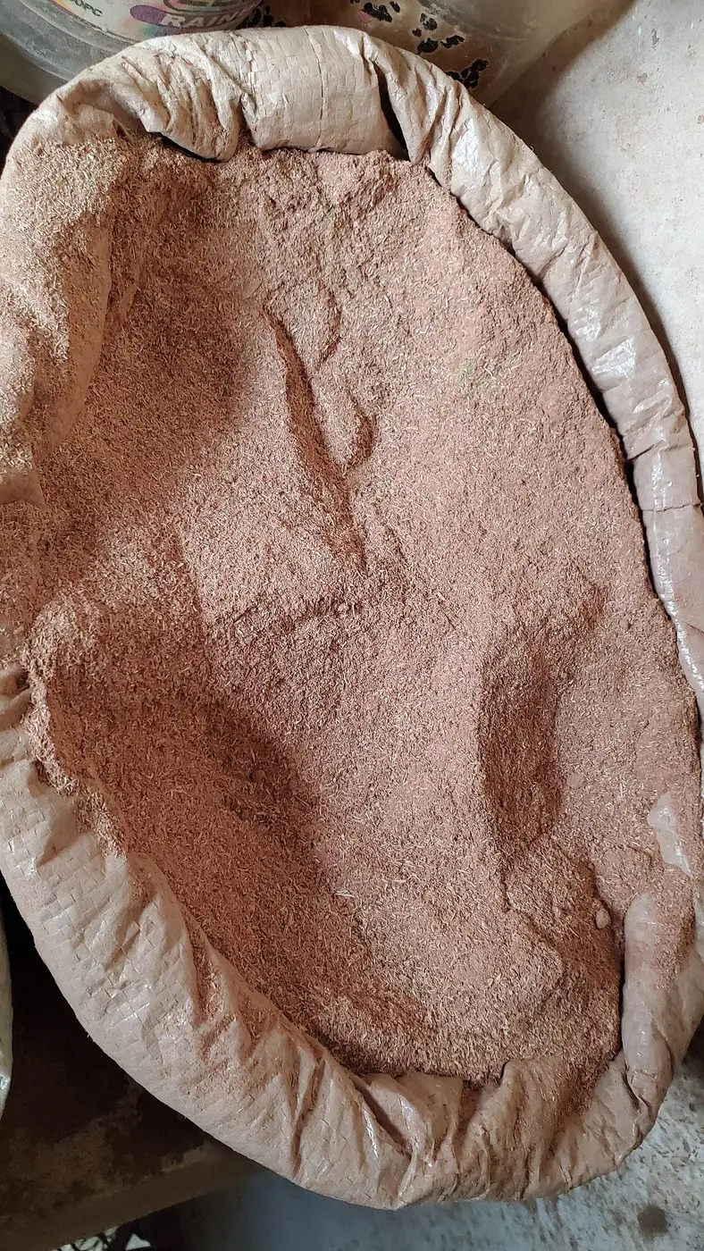 Ethiopian Frankincense Resin — reference photograph
