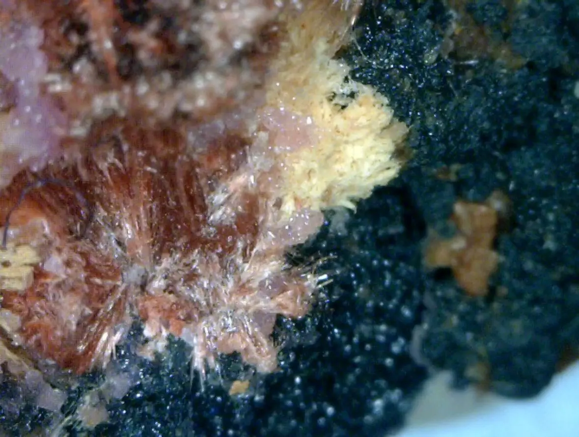 File:Smolyaninovite, Mansfieldite, Erythrite, Heterogenite-624241.png