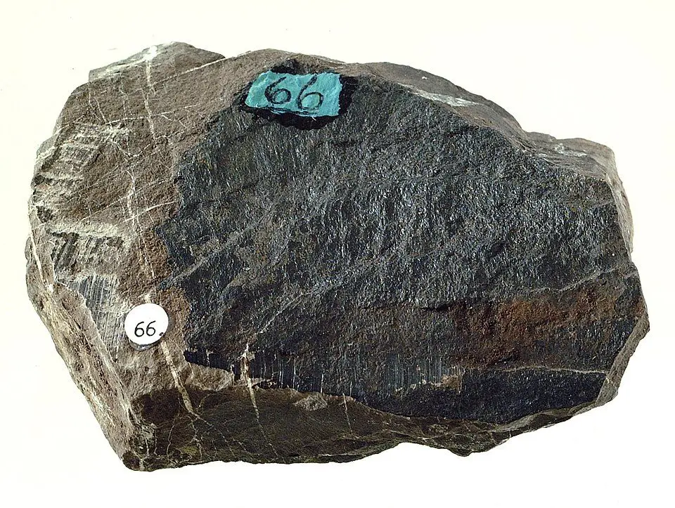 File:Phosphorite (GeoDIL number - 301).jpg