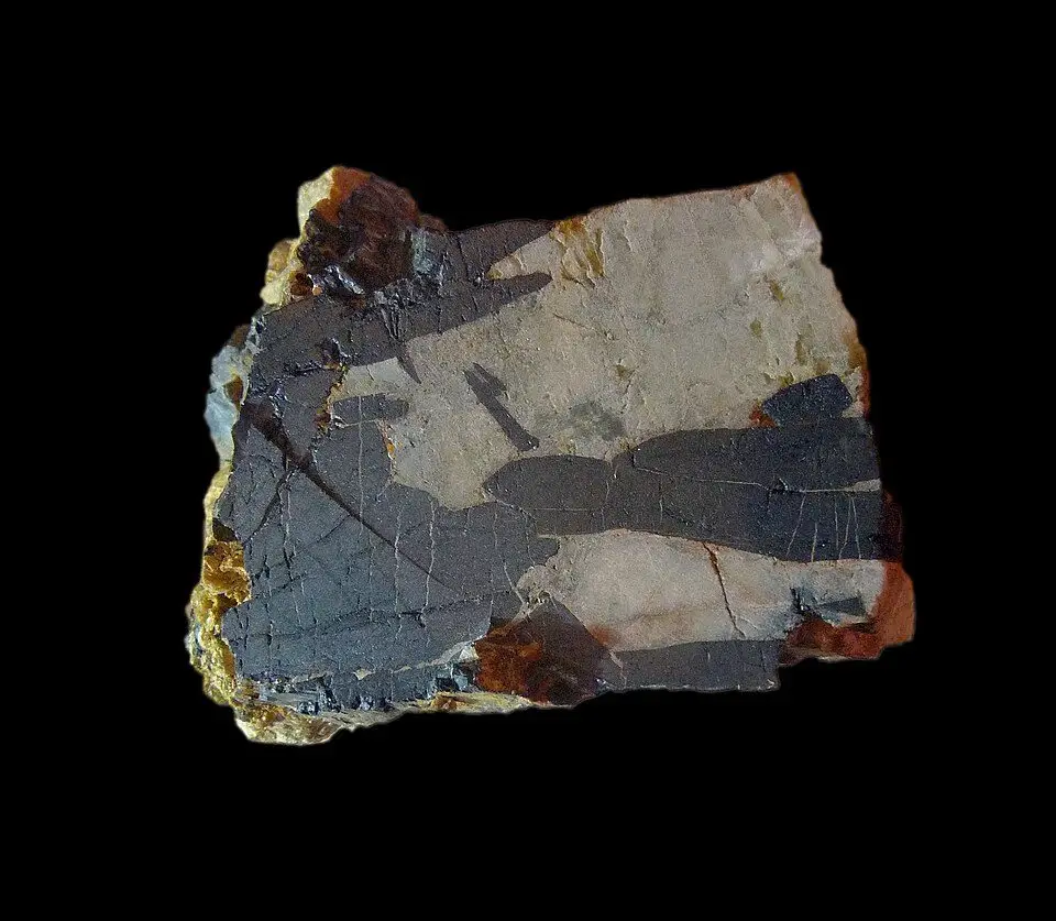 File:Columbite du Kivu-Musée royal de l'Afrique centrale.jpg