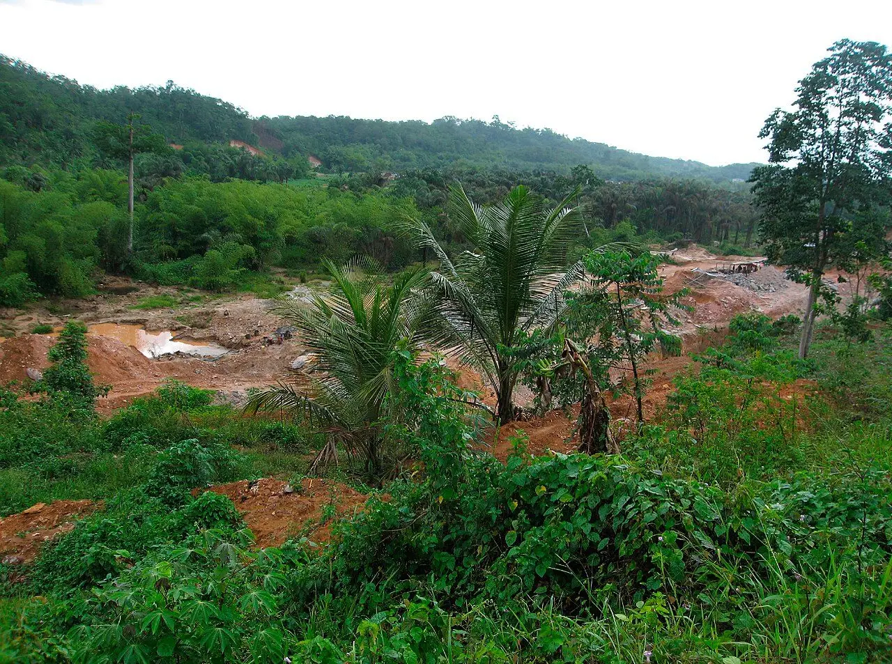 capture from Integrated Assessment of Artisanal and Small-Scale Gold Mining in Ghana—Part 2: Natural Sciences Review, Figure 12 illustration of altered nature and vegetation