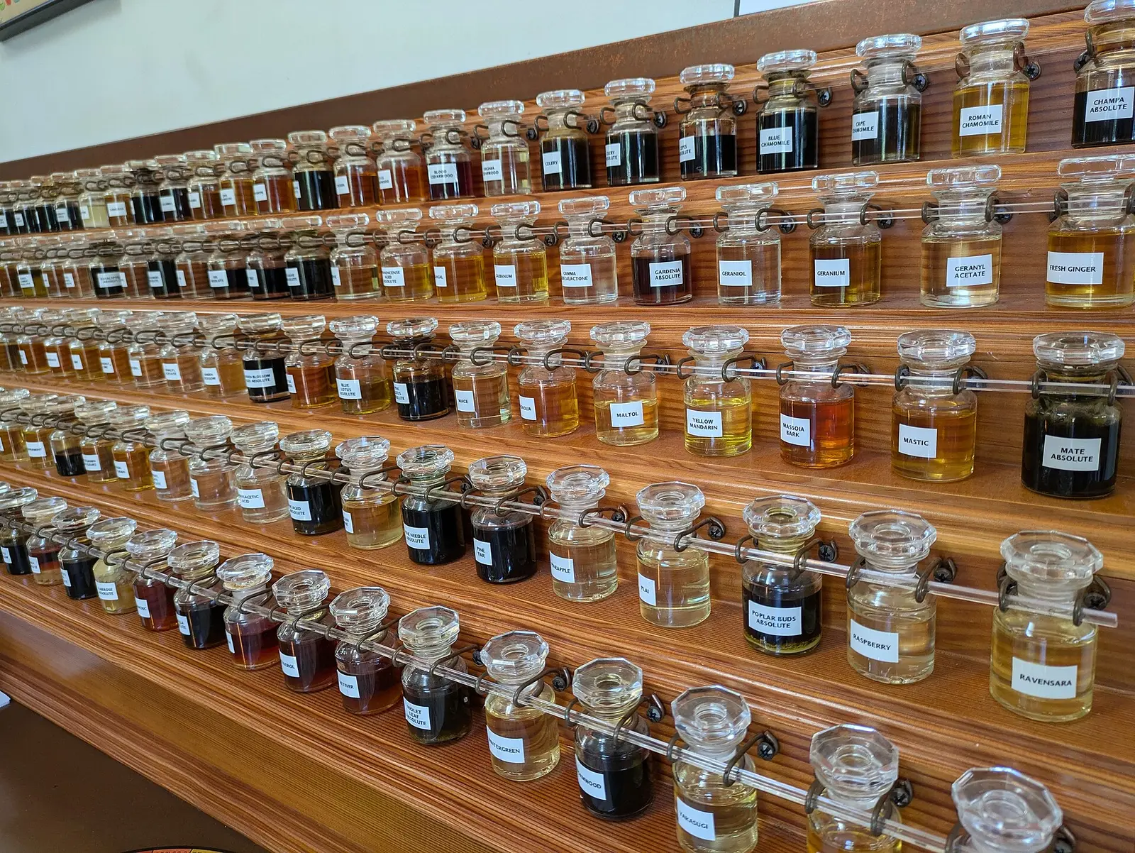 Rows of amber glass bottles on a perfumer's organ